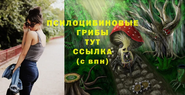 кокс Богородск